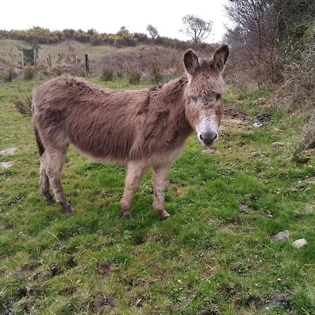 In - Very View With *