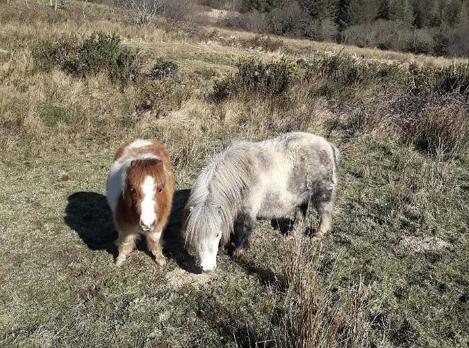 In - Very View With * Sneem