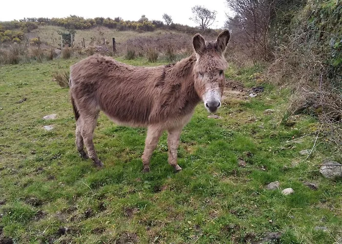 In - Very View With *